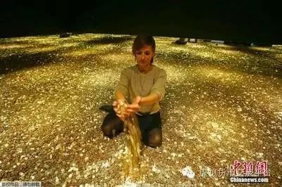 货币因素能否改变实际资源_选择数字货币时的环境因素考虑_货币因素有哪些