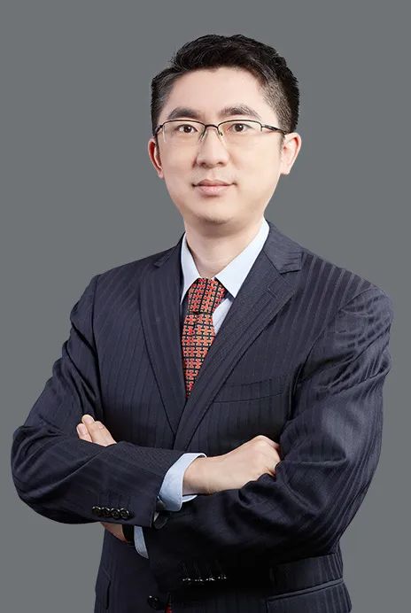 数字货币的多元投资策略：如何优化您的资产组合_货币体系多元化是什么意思_多元化货币体系