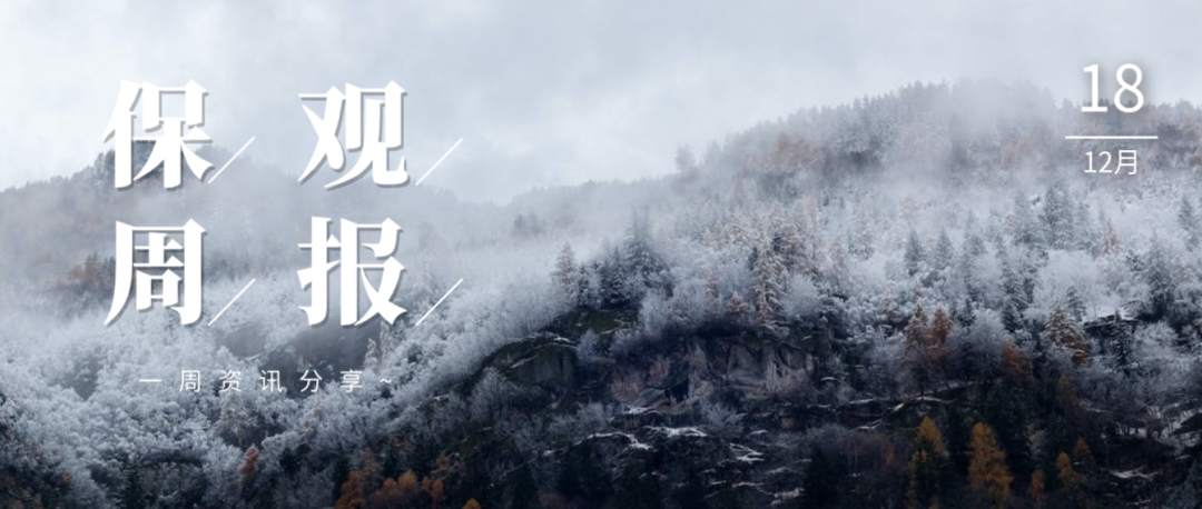 保险：寻找一个为其平台上持有的资产提供保险的交易平台。这可以为您的资产提供额外的保护。_保险资产登记交易平台_保险资产支持计划登记备案机构
