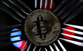 比特币SV币的安全性如何保障？