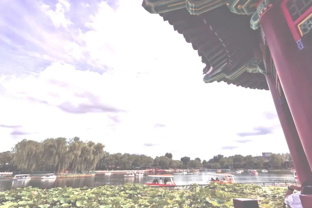 符合社会货币原则的案例_货币和社会财富是怎么对应的_探讨数字货币对社会责任投资的推动作用：实现财务回报与社会价值的双赢