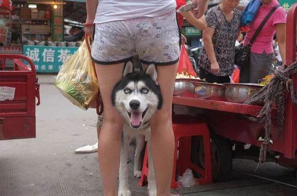 手机拍摄大师_拍摄大师：如何用iPhone拍摄专业照片_拍照大师app