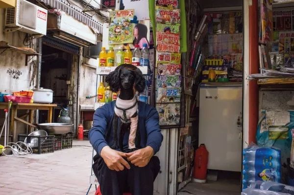 拍照大师app_手机拍摄大师_拍摄大师：如何用iPhone拍摄专业照片