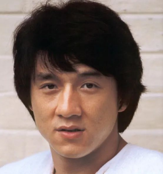 成龙的武术背景与训练经历_成龙武术背景训练经历了什么_成龙的武术套路