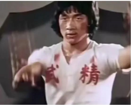 成龙的武术背景与训练经历_成龙的武术套路_成龙武术背景训练经历了什么