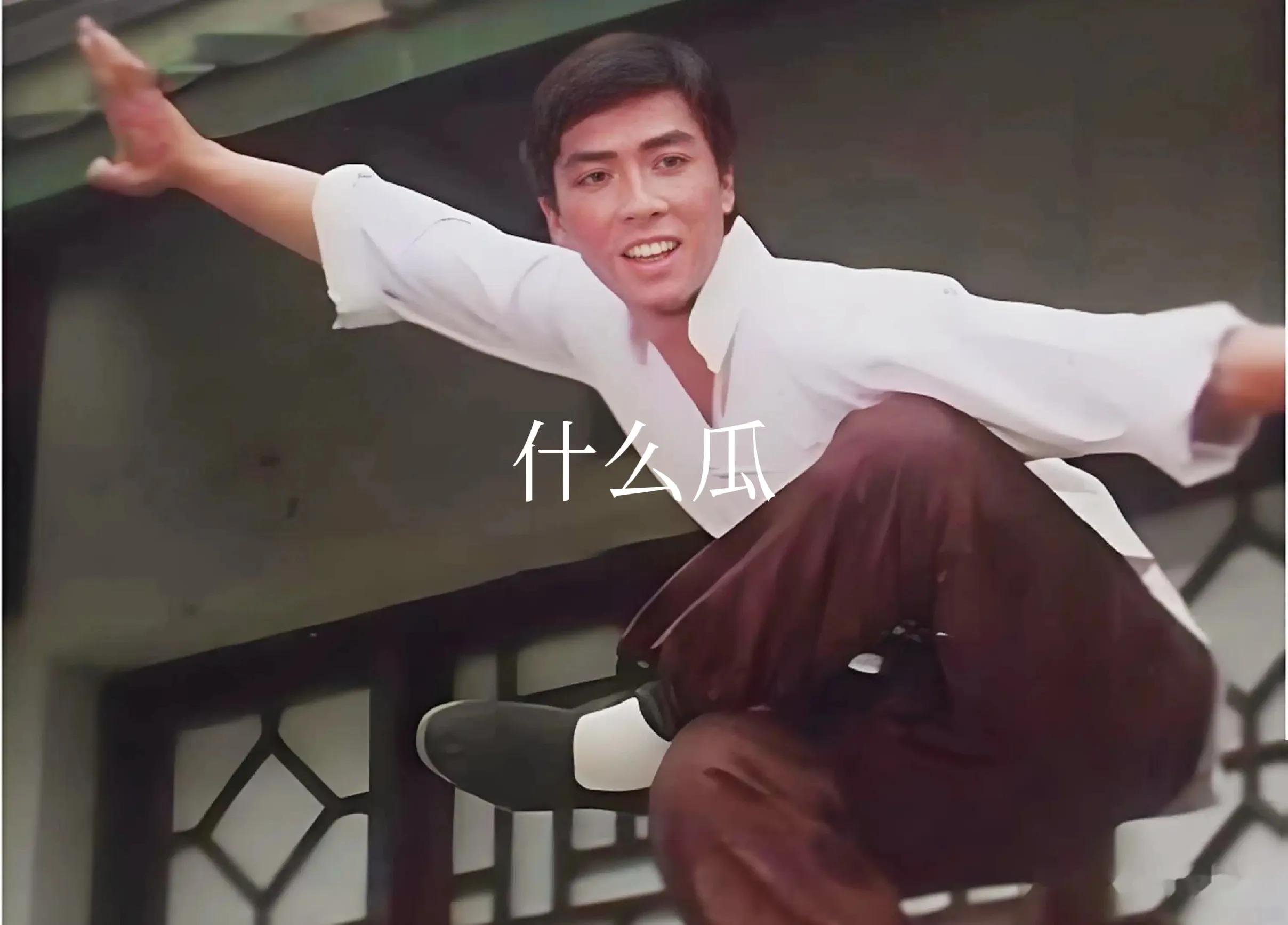 甄子丹的经典影片中的女性角色_甄子丹电影的女主角_甄子丹女生