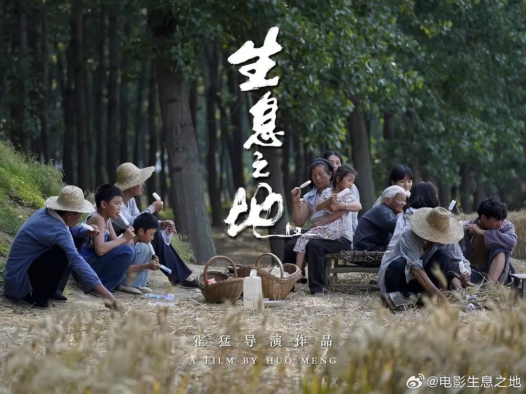 姚晨微博_姚晨_孙红雷姚晨