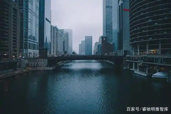 数字资产的评估标准：投资者如何判断项目的价值与风险_数字资产的评估标准：投资者如何判断项目的价值与风险_数字资产的评估标准：投资者如何判断项目的价值与风险