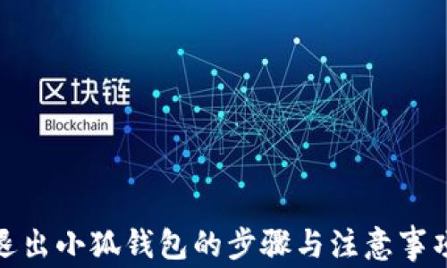 退出小狐钱包的步骤与注意事项