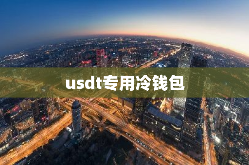 USDT专用冷钱包：保障虚拟货币资产安全的最佳选择