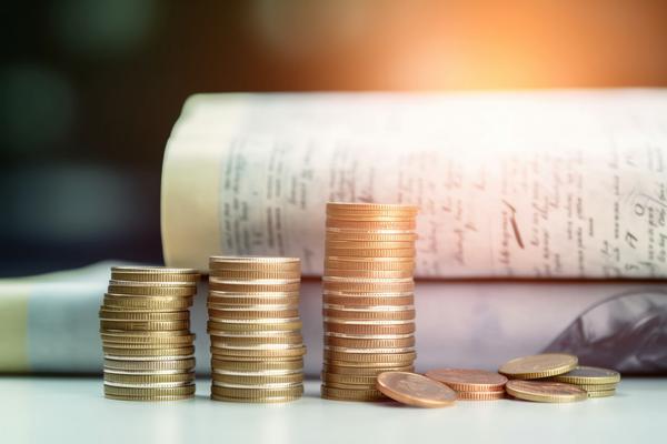 地瓜金融：创新金融模式，助力乡村振兴 图2