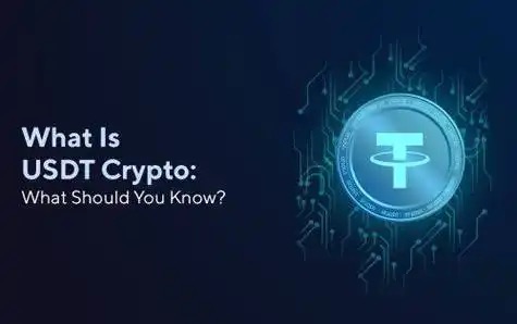 Payc钱包的玩法解析