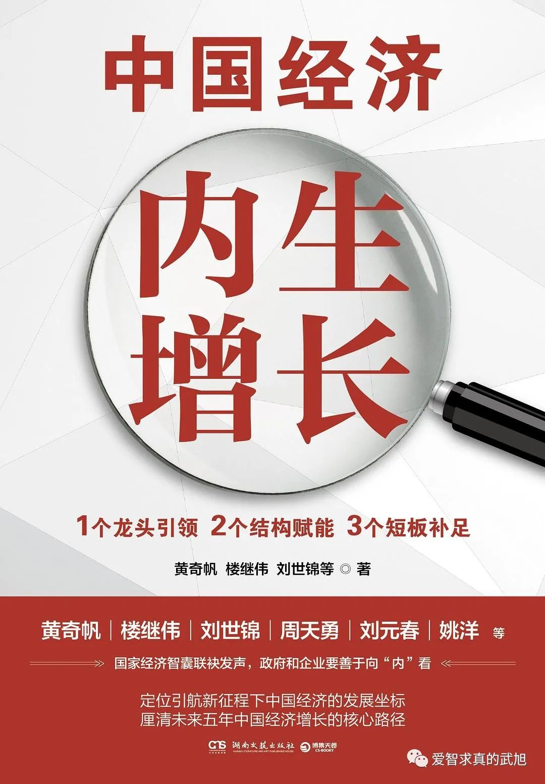 潜力指标_理解数字资产在低收入国家的潜力：如何实现经济参与与自给自足_潜在收入
