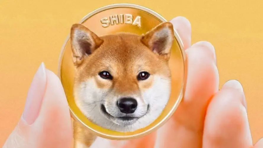 柴犬币跌破0.00002045美元引关注，24小时跌5.54%，分析师多面预测走势